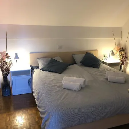 House Lotus In Terme Catez Vakantiehuis Catez ob Savi